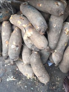 Buying yams in Nigeria